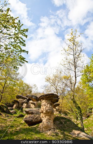 To use this stock image in your creative project, please select the size you need over to the right and click the "Add to Cart" button.
Your downloaded image will come with the Cutcaster watermark removed so don’t worry about the watermark you see on this page. Imaginative forest landscape stock photo, Curious forest in Italy, Piemonte region, close to Cuneo city. The name of the forest is