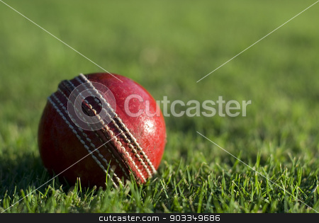 To use this stock image in your creative project, please select the size you need over to the right and click the "Add to Cart" button.
Your downloaded image will come with the Cutcaster watermark removed so don’t worry about the watermark you see on this page. Red cricket ball on green grass stock photo, Close up of a side lit red cricket ball on the green grass of a sports field, with copyspace by Stephen Gibson