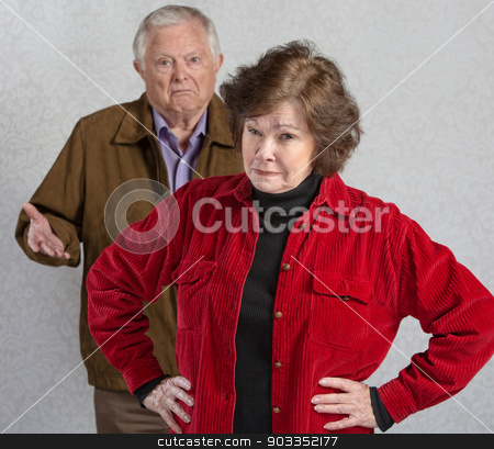 To use this stock image in your creative project, please select the size you need over to the right and click the "Add to Cart" button.
Your downloaded image will come with the Cutcaster watermark removed so don’t worry about the watermark you see on this page. Bickering Senior Couple stock photo, Suspicious senior woman in front of confused man by Scott Griessel