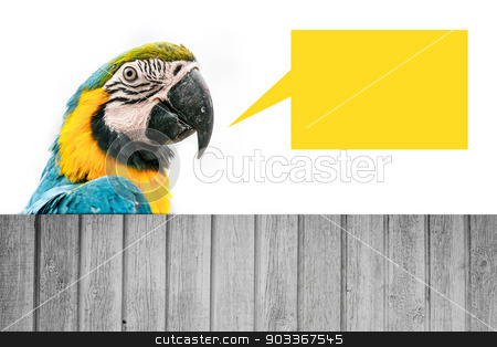 To use this stock image in your creative project, please select the size you need over to the right and click the "Add to Cart" button.
Your downloaded image will come with the Cutcaster watermark removed so don’t worry about the watermark you see on this page. Macaw parrot wit ha speech bubble stock photo, Portrait of a macaw parrot isolated on white by Kasper Nymann