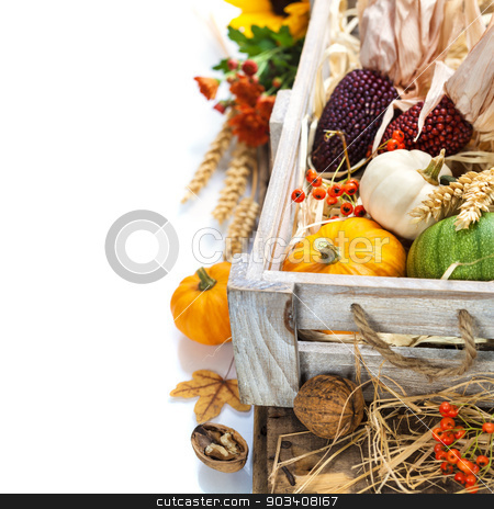 To use this stock image in your creative project, please select the size you need over to the right and click the "Add to Cart" button.
Your downloaded image will come with the Cutcaster watermark removed so don’t worry about the watermark you see on this page. Autumn composition stock photo, Autumn composition ( pumpkins and corn on old wooden table). Thanksgiving day concept by klenova