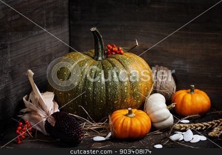 To use this stock image in your creative project, please select the size you need over to the right and click the "Add to Cart" button.
Your downloaded image will come with the Cutcaster watermark removed so don’t worry about the watermark you see on this page. Autumn composition stock photo, Autumn composition in wooden box by klenova