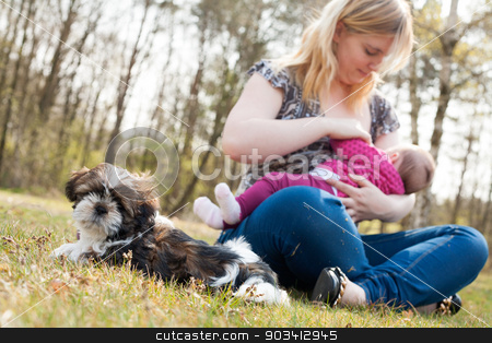 To use this stock image in your creative project, please select the size you need over to the right and click the "Add to Cart" button.
Your downloaded image will come with the Cutcaster watermark removed so don’t worry about the watermark you see on this page. Mother is feeding the baby while puppy is waiting stock photo, Mother is having a trip with the baby and dog outside by Frenk and Danielle Kaufmann