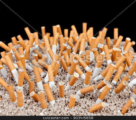 To use this stock image in your creative project, please select the size you need over to the right and click the "Add to Cart" button.
Your downloaded image will come with the Cutcaster watermark removed so don’t worry about the watermark you see on this page. Cigarettes chaos stock photo, Ashtray full of smoked cigarettes in the sand by Dario Rota