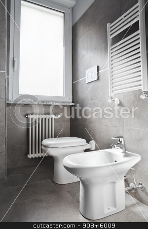 To use this stock image in your creative project, please select the size you need over to the right and click the "Add to Cart" button.
Your downloaded image will come with the Cutcaster watermark removed so don’t worry about the watermark you see on this page. White toilette stock photo, White modern toilette and bidet on gray wall
by Dario Rota