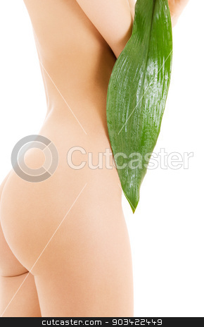 To use this stock image in your creative project, please select the size you need over to the right and click the "Add to Cart" button.
Your downloaded image will come with the Cutcaster watermark removed so don’t worry about the watermark you see on this page. female torso with green leaf over white stock photo, picture of female torso with green leaf over white by Syda Productions