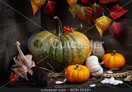 To use this stock image in your creative project, please select the size you need over to the right and click the "Add to Cart" button.
Your downloaded image will come with the Cutcaster watermark removed so don’t worry about the watermark you see on this page. Autumn composition stock photo, Autumn composition in wooden box by klenova