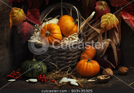 To use this stock image in your creative project, please select the size you need over to the right and click the "Add to Cart" button.
Your downloaded image will come with the Cutcaster watermark removed so don’t worry about the watermark you see on this page. Autumn composition stock photo, Autumn composition ( pumpkins and corn on old wooden table). Thanksgiving day concept by klenova