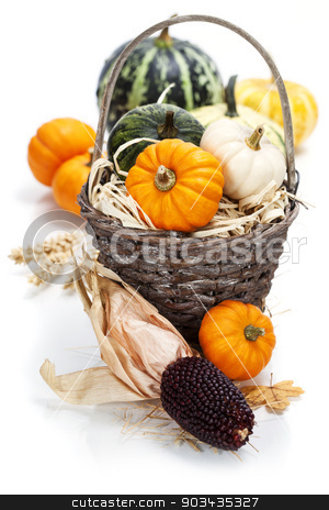 To use this stock image in your creative project, please select the size you need over to the right and click the "Add to Cart" button.
Your downloaded image will come with the Cutcaster watermark removed so don’t worry about the watermark you see on this page. Autumn composition stock photo, Autumn composition ( pumpkins and corn on old wooden table). Thanksgiving day concept by klenova