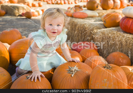 To use this stock image in your creative project, please select the size you need over to the right and click the "Add to Cart" button.
Your downloaded image will come with the Cutcaster watermark removed so don’t worry about the watermark you see on this page. Adorable Baby Girl Holding a Pumpkin at the Pumpkin Patch stock photo, Adorable Baby Girl Holding a Pumpkin in a Rustic Ranch Setting at the Pumpkin Patch. by Andy Dean