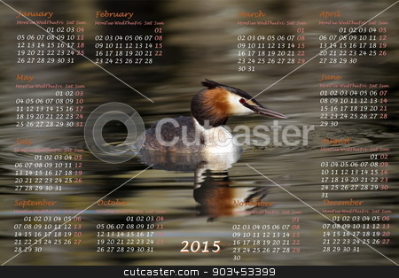To use this stock image in your creative project, please select the size you need over to the right and click the "Add to Cart" button.
Your downloaded image will come with the Cutcaster watermark removed so don’t worry about the watermark you see on this page. European 2015 year calendar with crested grebe duck stock photo, European 2015 year calendar with crested grebe duck on water by Elenarts
