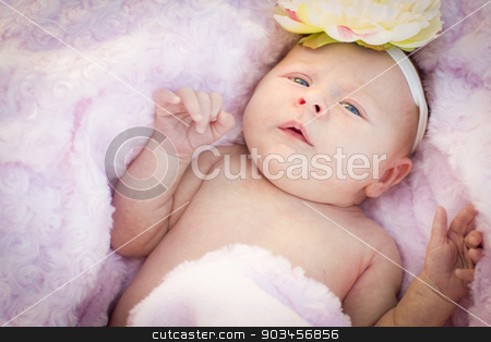 To use this stock image in your creative project, please select the size you need over to the right and click the "Add to Cart" button.
Your downloaded image will come with the Cutcaster watermark removed so don’t worry about the watermark you see on this page. Beautiful Newborn Baby Girl Laying in Soft Blanket stock photo, Beautiful Newborn Baby Girl Laying Peacefully in Soft Pink Blanket. by Andy Dean