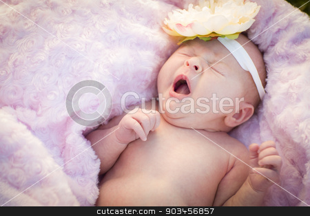 To use this stock image in your creative project, please select the size you need over to the right and click the "Add to Cart" button.
Your downloaded image will come with the Cutcaster watermark removed so don’t worry about the watermark you see on this page. Beautiful Newborn Baby Girl Laying in Soft Blanket stock photo, Beautiful Newborn Baby Girl Laying Peacefully in Soft Pink Blanket. by Andy Dean