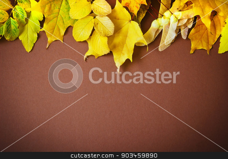 To use this stock image in your creative project, please select the size you need over to the right and click the "Add to Cart" button.
Your downloaded image will come with the Cutcaster watermark removed so don’t worry about the watermark you see on this page. autumn leaves stock photo, different autumn leaves on a brown background. autumn backgrounds.space for text by Jevgeni Proshin