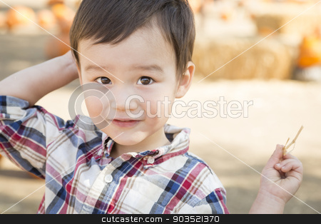 To use this stock image in your creative project, please select the size you need over to the right and click the "Add to Cart" button.
Your downloaded image will come with the Cutcaster watermark removed so don’t worry about the watermark you see on this page. Mixed Race Young Boy Having Fun at the Pumpkin Patch stock photo, Cute Mixed Race Young Boy Having Fun at the Pumpkin Patch. by Andy Dean