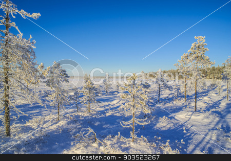 To use this stock image in your creative project, please select the size you need over to the right and click the "Add to Cart" button.
Your downloaded image will come with the Cutcaster watermark removed so don’t worry about the watermark you see on this page. Snow-covered trees stock photo, Picturesque view of trees of all sizes covered in snow in a winter country by Michal Knitl
