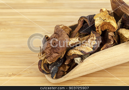 To use this stock image in your creative project, please select the size you need over to the right and click the "Add to Cart" button.
Your downloaded image will come with the Cutcaster watermark removed so don’t worry about the watermark you see on this page. Wild dried mushrooms stock photo, Shown up close serving of wild dried mushrooms by marekusz