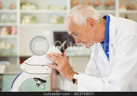 To use this stock image in your creative project, please select the size you need over to the right and click the "Add to Cart" button.
Your downloaded image will come with the Cutcaster watermark removed so don’t worry about the watermark you see on this page. Senior scientist looking through microscope stock photo, Senior scientist looking through microscope at the university by Wavebreak Media