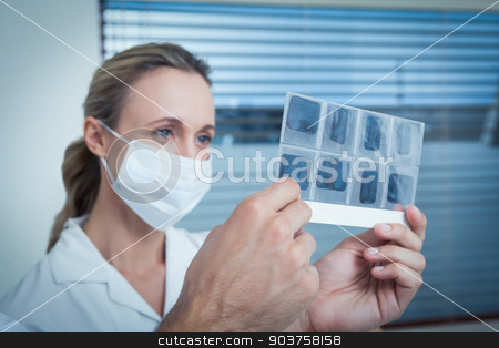 To use this stock image in your creative project, please select the size you need over to the right and click the "Add to Cart" button.
Your downloaded image will come with the Cutcaster watermark removed so don’t worry about the watermark you see on this page. Dentist looking at x-ray stock photo, Concentrated female dentist looking at x-ray by Wavebreak Media