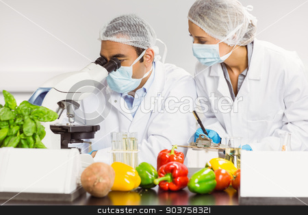 To use this stock image in your creative project, please select the size you need over to the right and click the "Add to Cart" button.
Your downloaded image will come with the Cutcaster watermark removed so don’t worry about the watermark you see on this page. Food scientists using the microscope for research stock photo, Food scientists using the microscope for research at the university by Wavebreak Media