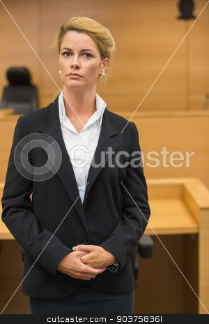 To use this stock image in your creative project, please select the size you need over to the right and click the "Add to Cart" button.
Your downloaded image will come with the Cutcaster watermark removed so don’t worry about the watermark you see on this page. Serious lawyer looking at camera stock photo, Serious lawyer looking at camera in the court room by Wavebreak Media