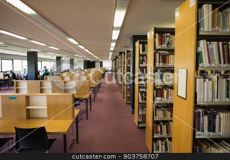 To use this stock image in your creative project, please select the size you need over to the right and click the "Add to Cart" button.
Your downloaded image will come with the Cutcaster watermark removed so don’t worry about the watermark you see on this page. Volumes of books on bookshelf in library stock photo, Volumes of books on bookshelf in library at the university by Wavebreak Media