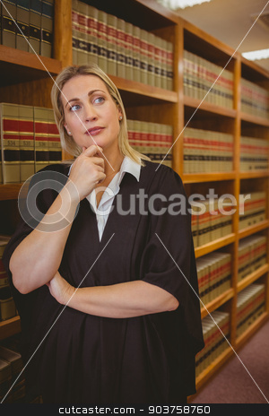 To use this stock image in your creative project, please select the size you need over to the right and click the "Add to Cart" button.
Your downloaded image will come with the Cutcaster watermark removed so don’t worry about the watermark you see on this page. Serious lawyer thinking with hand on chin stock photo, Serious lawyer thinking with hand on chin in library by Wavebreak Media