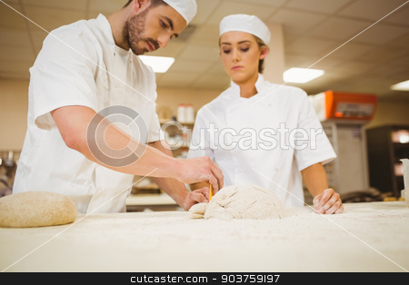 To use this stock image in your creative project, please select the size you need over to the right and click the "Add to Cart" button.
Your downloaded image will come with the Cutcaster watermark removed so don’t worry about the watermark you see on this page. Team of bakers preparing dough stock photo, Team of bakers preparing dough in a commercial kitchen by Wavebreak Media