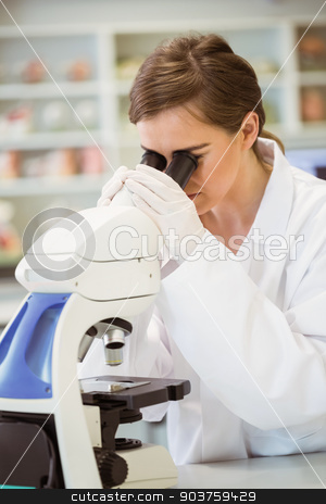 To use this stock image in your creative project, please select the size you need over to the right and click the "Add to Cart" button.
Your downloaded image will come with the Cutcaster watermark removed so don’t worry about the watermark you see on this page. Young scientist working with microscope stock photo, Young scientist working with microscope at the university by Wavebreak Media