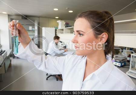 To use this stock image in your creative project, please select the size you need over to the right and click the "Add to Cart" button.
Your downloaded image will come with the Cutcaster watermark removed so don’t worry about the watermark you see on this page. Young scientist holding up test tube stock photo, Young scientist holding up test tube at the laboratory by Wavebreak Media