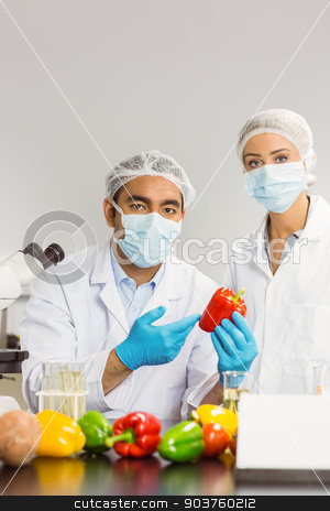 To use this stock image in your creative project, please select the size you need over to the right and click the "Add to Cart" button.
Your downloaded image will come with the Cutcaster watermark removed so don’t worry about the watermark you see on this page. Food scientists looking at a pepper stock photo, Food scientists looking at a pepper at the university by Wavebreak Media