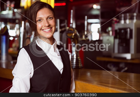 To use this stock image in your creative project, please select the size you need over to the right and click the "Add to Cart" button.
Your downloaded image will come with the Cutcaster watermark removed so don’t worry about the watermark you see on this page. Happy barmaid smiling at camera stock photo, Happy barmaid smiling at camera in a bar by Wavebreak Media