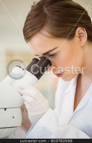 To use this stock image in your creative project, please select the size you need over to the right and click the "Add to Cart" button.
Your downloaded image will come with the Cutcaster watermark removed so don’t worry about the watermark you see on this page. Young scientist working with microscope stock photo, Young scientist working with microscope at the university by Wavebreak Media
