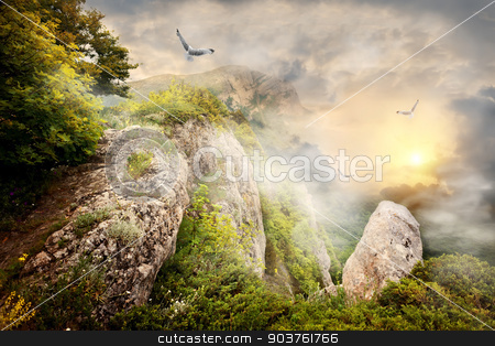 To use this stock image in your creative project, please select the size you need over to the right and click the "Add to Cart" button.
Your downloaded image will come with the Cutcaster watermark removed so don’t worry about the watermark you see on this page. Fog in mountains stock photo, Morning fog in the mountains and big birds by Givaga