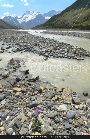 To use this stock image in your creative project, please select the size you need over to the right and click the "Add to Cart" button.
Your downloaded image will come with the Cutcaster watermark removed so don’t worry about the watermark you see on this page. Columbia Icefield landscape in Alberta. Canada stock photo, Columbia Icefield landscape in Alberta. Canada. Vertical by ABBPhoto