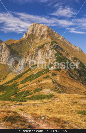 To use this stock image in your creative project, please select the size you need over to the right and click the "Add to Cart" button.
Your downloaded image will come with the Cutcaster watermark removed so don’t worry about the watermark you see on this page. Belianske Tatry stock photo, Scenic mountain peak of Belianske Tatry in Slovakia on sunny autumn day by Michal Knitl