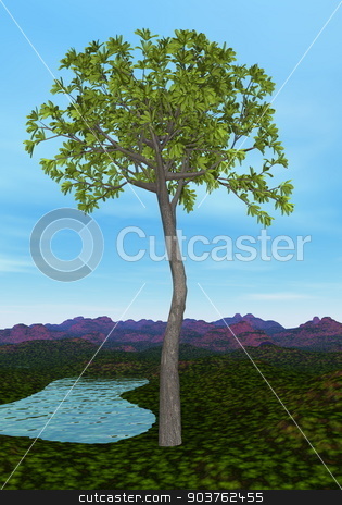 To use this stock image in your creative project, please select the size you need over to the right and click the "Add to Cart" button.
Your downloaded image will come with the Cutcaster watermark removed so don’t worry about the watermark you see on this page. Glossopteris tree - 3D render stock photo, Glossopteris tree by day - 3D render by Elenarts