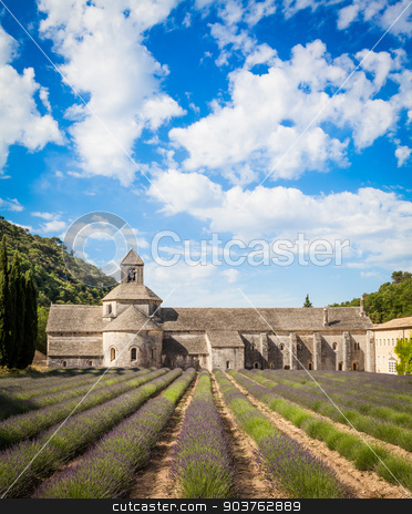 To use this stock image in your creative project, please select the size you need over to the right and click the "Add to Cart" button.
Your downloaded image will come with the Cutcaster watermark removed so don’t worry about the watermark you see on this page. Lavander field stock photo, France, Provence Region, Senanque Abbey. Lavander field in summer season. by Paolo Gallo