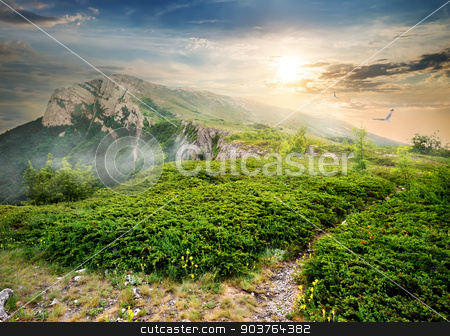 To use this stock image in your creative project, please select the size you need over to the right and click the "Add to Cart" button.
Your downloaded image will come with the Cutcaster watermark removed so don’t worry about the watermark you see on this page. Juniper in mountains stock photo, Meadow of green juniper in mountains at sunrise by Givaga