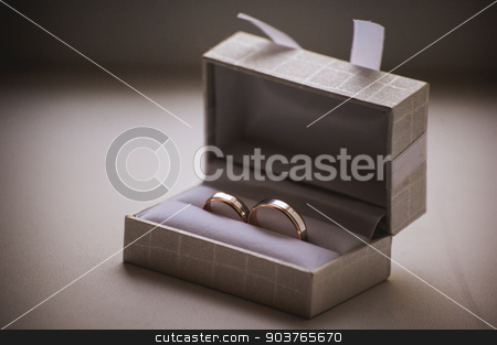 To use this stock image in your creative project, please select the size you need over to the right and click the "Add to Cart" button.
Your downloaded image will come with the Cutcaster watermark removed so don’t worry about the watermark you see on this page. wedding rings in grey box stock photo, two wedding rings in grey box with bow by Maksym Fesenko