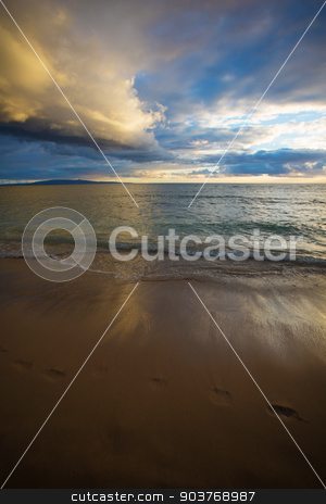 To use this stock image in your creative project, please select the size you need over to the right and click the "Add to Cart" button.
Your downloaded image will come with the Cutcaster watermark removed so don’t worry about the watermark you see on this page. Footprints in Sand at Sunset stock photo, Footprints in sand during sunrise on Maui in Hawaii by Scott Griessel