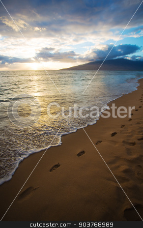 To use this stock image in your creative project, please select the size you need over to the right and click the "Add to Cart" button.
Your downloaded image will come with the Cutcaster watermark removed so don’t worry about the watermark you see on this page. Kihei Sunset and Beach Footprints stock photo, Sunset and Beach Footprints on Maui in Hawaii by Scott Griessel