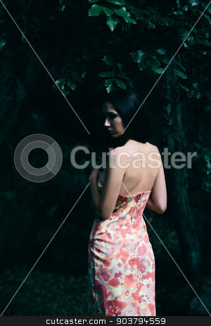 To use this stock image in your creative project, please select the size you need over to the right and click the "Add to Cart" button.
Your downloaded image will come with the Cutcaster watermark removed so don’t worry about the watermark you see on this page. Lady in the dress with a floral pattern stock photo, Portrait of lady in the dress with floral pattern in the Vorontsov Park by Suchota