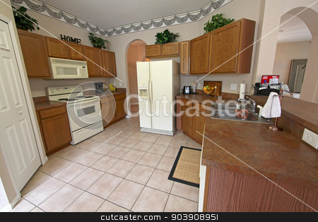 To use this stock image in your creative project, please select the size you need over to the right and click the "Add to Cart" button.
Your downloaded image will come with the Cutcaster watermark removed so don’t worry about the watermark you see on this page. Kitchen stock photo, A Kitchen in a home in Florida by Lucy Clark