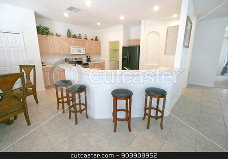 To use this stock image in your creative project, please select the size you need over to the right and click the "Add to Cart" button.
Your downloaded image will come with the Cutcaster watermark removed so don’t worry about the watermark you see on this page. Kitchen stock photo, A Kitchen in a home in Florida by Lucy Clark