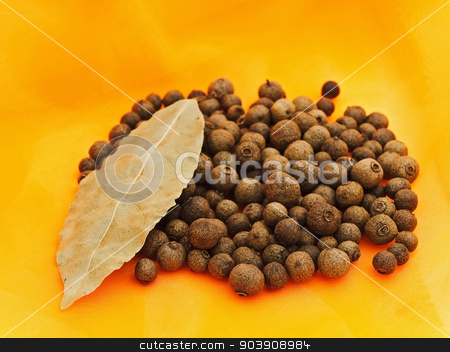 To use this stock image in your creative project, please select the size you need over to the right and click the "Add to Cart" button.
Your downloaded image will come with the Cutcaster watermark removed so don’t worry about the watermark you see on this page. Allspice stock photo, Allspice And Bay Leaf Over Orange Textile Background by Sergej Razvodovskij