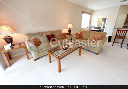 To use this stock image in your creative project, please select the size you need over to the right and click the "Add to Cart" button.
Your downloaded image will come with the Cutcaster watermark removed so don’t worry about the watermark you see on this page. Living Room stock photo, A Living Area in a Home in Florida by Lucy Clark