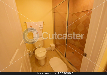 To use this stock image in your creative project, please select the size you need over to the right and click the "Add to Cart" button.
Your downloaded image will come with the Cutcaster watermark removed so don’t worry about the watermark you see on this page. Bathroom stock photo, A Bathroom, interior shot of a home by Lucy Clark