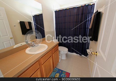 To use this stock image in your creative project, please select the size you need over to the right and click the "Add to Cart" button.
Your downloaded image will come with the Cutcaster watermark removed so don’t worry about the watermark you see on this page. Bathroom stock photo, A Bathroom, interior shot of a home by Lucy Clark