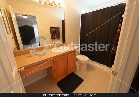 To use this stock image in your creative project, please select the size you need over to the right and click the "Add to Cart" button.
Your downloaded image will come with the Cutcaster watermark removed so don’t worry about the watermark you see on this page. Bathroom stock photo, A Bathroom, interior shot of a home by Lucy Clark